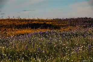 1477 Flag Creek Rd, Oroville, CA 95965 - Photo 69