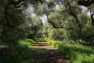 1477 Flag Creek Rd, Oroville, CA 95965 - Photo 73