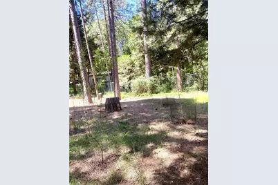 14591 Holmwood, Magalia, CA 95954 - Photo 31