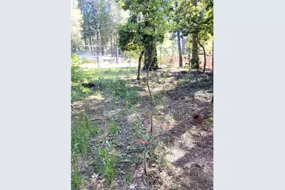 14591 Holmwood, Magalia, CA 95954 - Photo 37