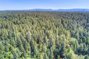 14533 Grinnell Ct, Magalia, CA 95954 - Photo 57