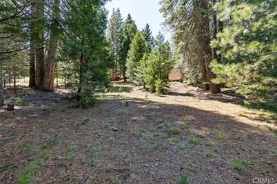910 Clifford Drive, Almanor, CA 96137 - Photo 39