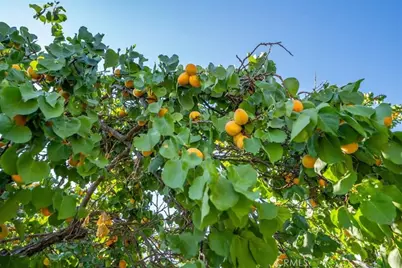 21999 Riverside Avenue, Red Bluff, CA 96080 - Photo 37