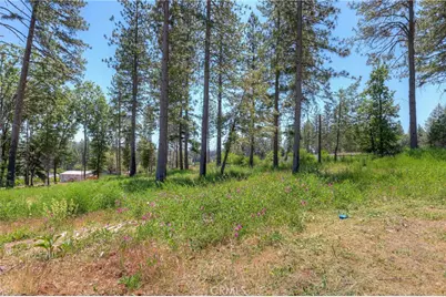 9142 Skyway, Paradise, CA 95969 - Photo 11