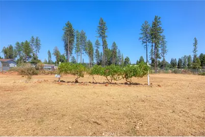 6478 Lone Cedar Lane, Paradise, CA 95969 - Photo 57
