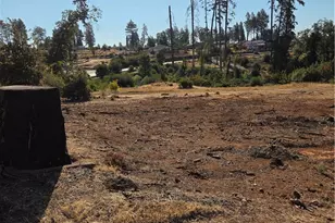 960 Pearson Rd, Paradise, CA 95969 - Photo 1