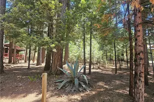 15028 Jack Pine Way, Magalia, CA 95954 - Photo 9