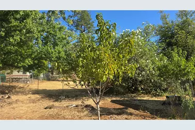 1833 Stark Lane, Paradise, CA 95969 - Photo 13
