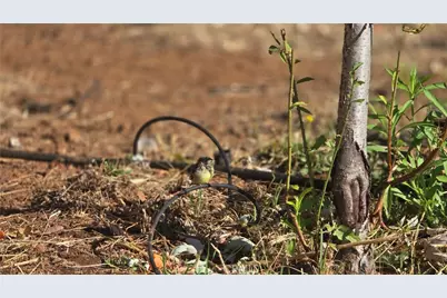 1833 Stark Lane, Paradise, CA 95969 - Photo 15