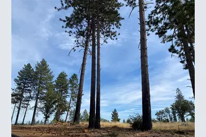 5374 Edgewood, Paradise, CA 95969 - Photo 9