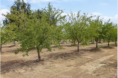 4705 1st Ave, Orland, CA 95963 - Photo 57