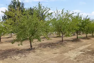 4705 1st Ave, Orland, CA 95963 - Photo 57