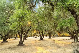 385 Dunstone, Oroville, CA 95966 - Photo 49