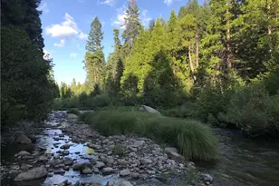 7404 Meadow Creek, Butte Meadows, CA 95942 - Photo 19