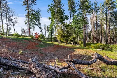 1712 Connell Lane, Paradise, CA 95969 - Photo 7