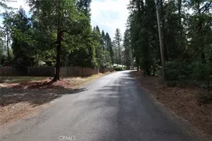 19138 New York Flat, Forbestown, CA 95941 - Photo 37