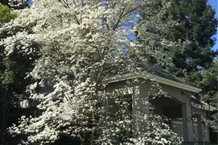 1975 Heritage Oak, Chico, CA 95928 - Photo 55