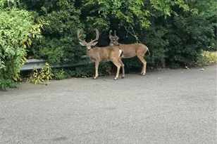 1975 Heritage Oak, Chico, CA 95928 - Photo 53