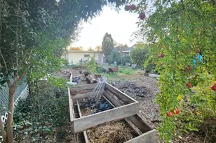 502 Chipman Ave, Gerber, CA 96035 - Photo 3