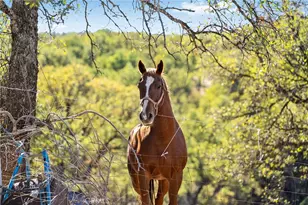 16925 Basler Rd, Cottonwood, CA 96022 - Photo 55