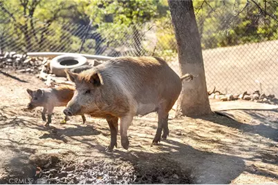 16925 Basler Road, Cottonwood, CA 96022 - Photo 49