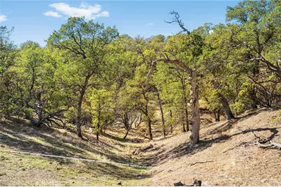 16925 Basler Road, Cottonwood, CA 96022 - Photo 41