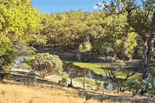 16925 Basler Rd, Cottonwood, CA 96022 - Photo 21