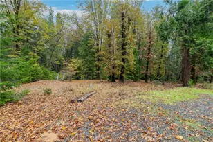 16376 Stage Rd, Forest Ranch, CA 95942 - Photo 47