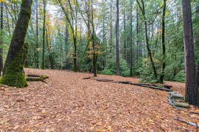 16376 Stage Road, Forest Ranch, CA 95942 - Photo 51