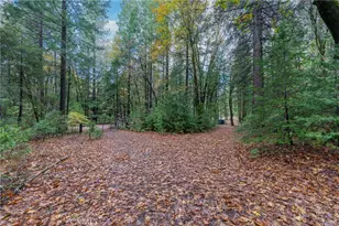 16376 Stage Rd, Forest Ranch, CA 95942 - Photo 35