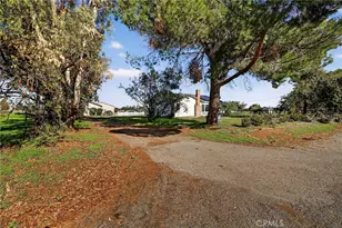 6460 Co Rd 24, Orland, CA 95963 - Photo 5