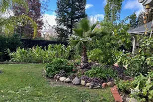 14 Sparrow Hawk, Chico, CA 95928 - Photo 51