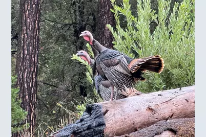 3625 Charqui Court, Oroville, CA 95965 - Photo 21