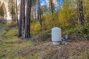 13159 Mullen, Oroville, CA 95965 - Photo 41