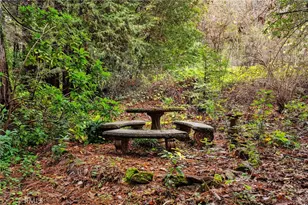 18774 Challenge Cutoff Rd, Forbestown, CA 95941 - Photo 65