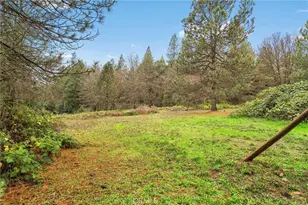 18774 Challenge Cutoff Rd, Forbestown, CA 95941 - Photo 59