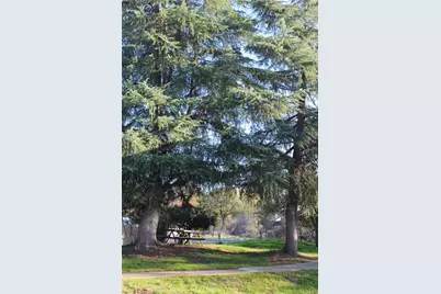 985 Jonell Lane, Chico, CA 95926 - Photo 73