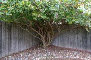 354 Silver Lake, Chico, CA 95973 - Photo 33