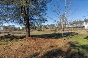 4665 Zinfandel Dr, Chico, CA 95928 - Photo 59