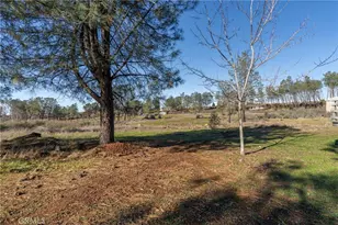 4665 Zinfandel Dr, Chico, CA 95928 - Photo 59