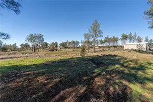 4665 Zinfandel Dr, Chico, CA 95928 - Photo 61