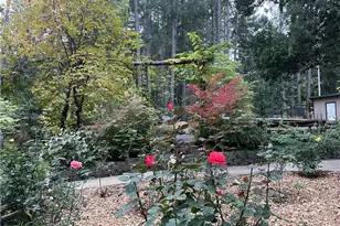 5937 Fern Glenn, Magalia, CA 95954 - Photo 41