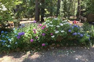 5937 Fern Glenn, Magalia, CA 95954 - Photo 45