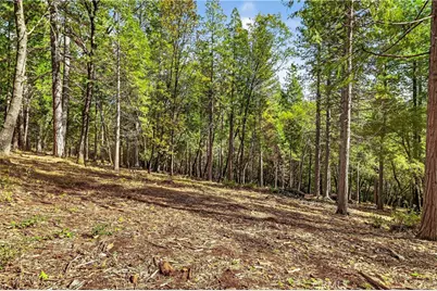 0 Cedar Creek, Forest Ranch, CA 95942 - Photo 9