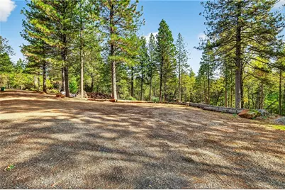 0 Cedar Creek, Forest Ranch, CA 95942 - Photo 11