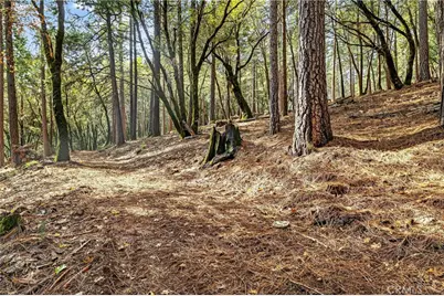 0 Cedar Creek, Forest Ranch, CA 95942 - Photo 3