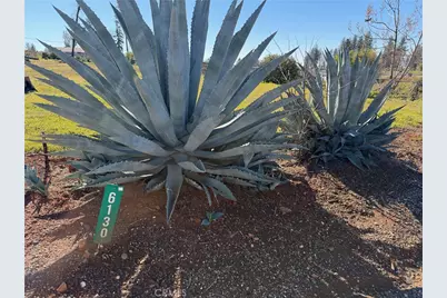 6130 Greenwood, Paradise, CA 95969 - Photo 3