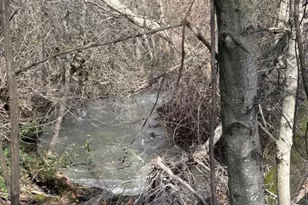 3237 Dry Creek Rd, Butte Valley, CA 95965 - Photo 7