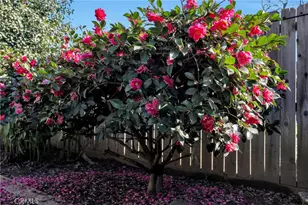 467 E 8th Ave, Chico, CA 95926 - Photo 35