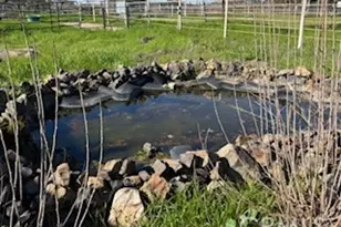 8001 Palermo Honcut, Oroville, CA 95966 - Photo 11